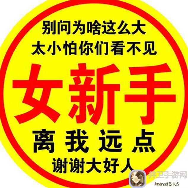 新手玩星之翼？选对机体很重要！