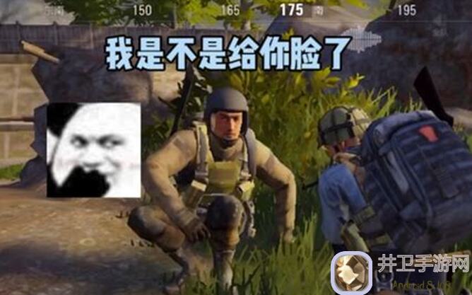 超数据世界小鱼鲨鱼秘籍！新手必备攻略让你秒变数据高手